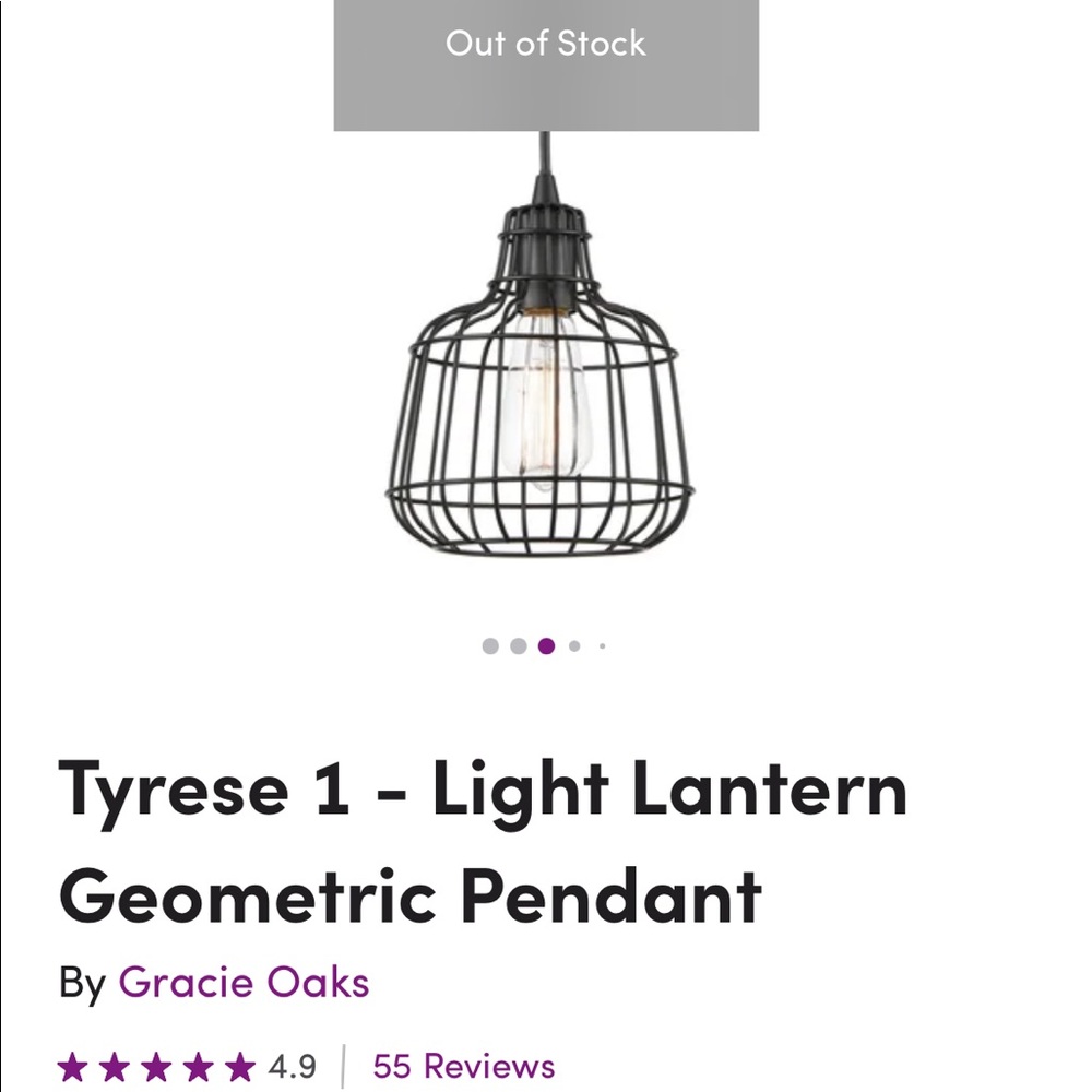 NIB Light Society/Gracie Oaks pendant light